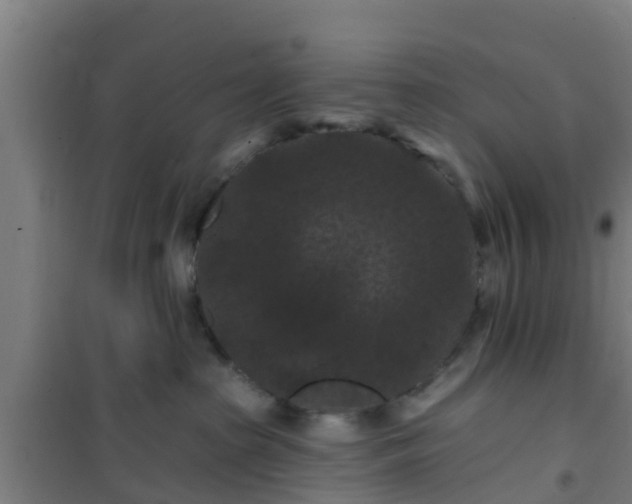 X0000101090285200807031733