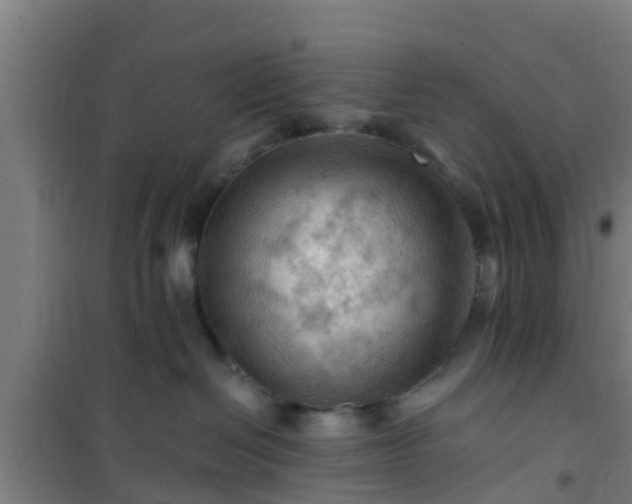 X0000101090286200807031733