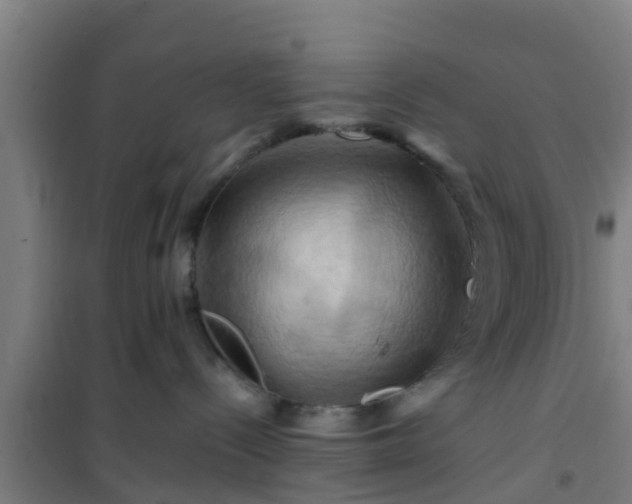 X0000101090288200807031733