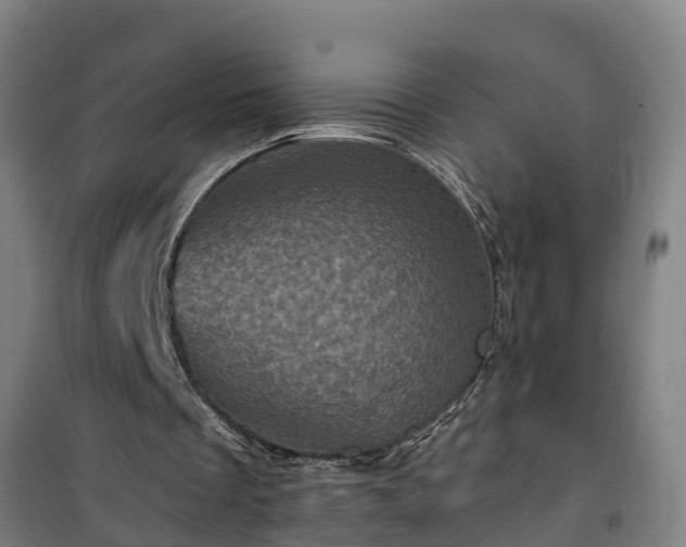 X0000101090289200807031733