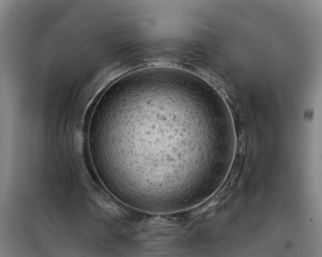 X0000101090290200807031733