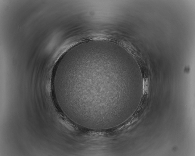 X0000101090291200807031733