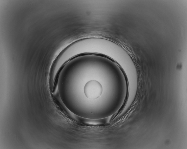 X0000101090292200807031733