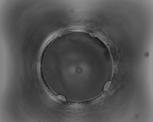 X0000101090293200807031733