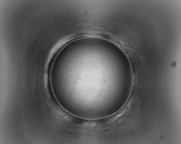 X0000101090294200807031733