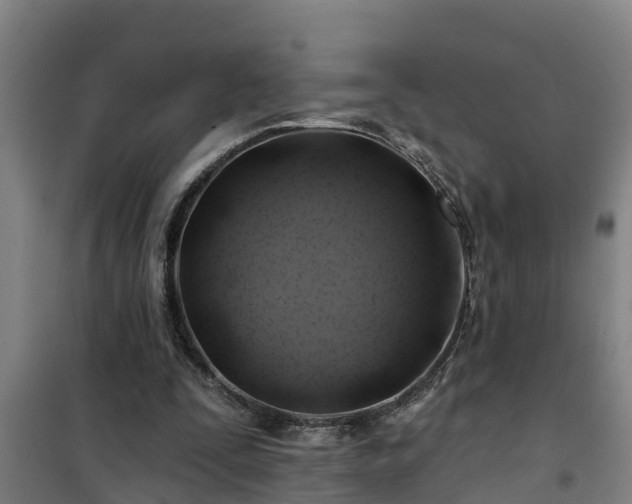 X0000101090295200807031732