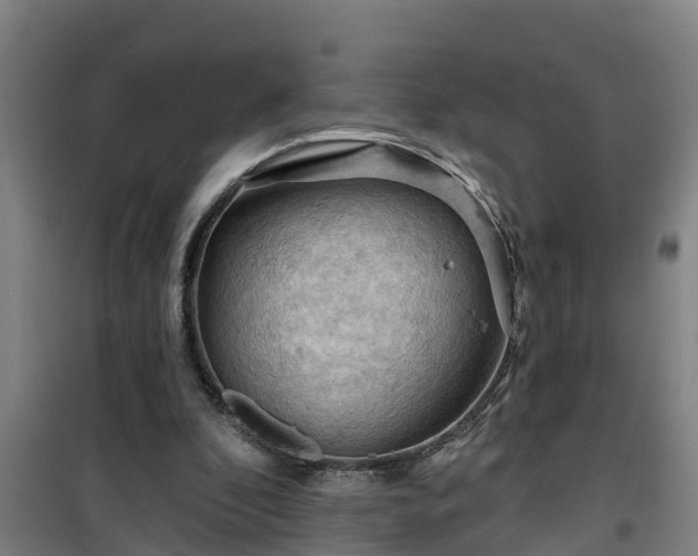 X0000101090296200807031732