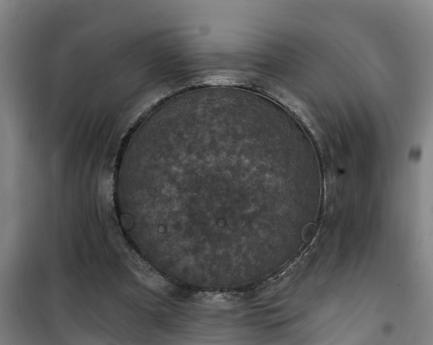 X0000101090297200807031732