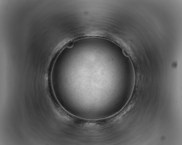 X0000101090298200807031732