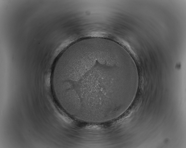 X0000101090299200807031732