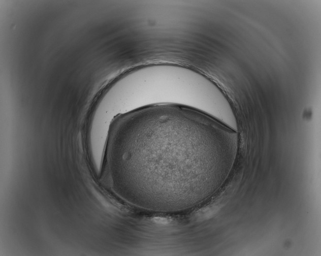 X0000101090302200807031732