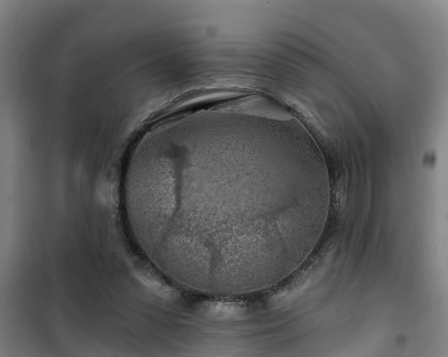 X0000101090303200807031732