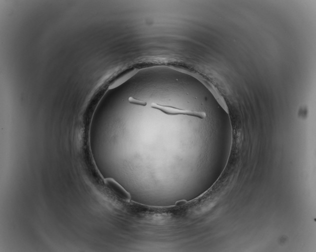 X0000101090304200807031732