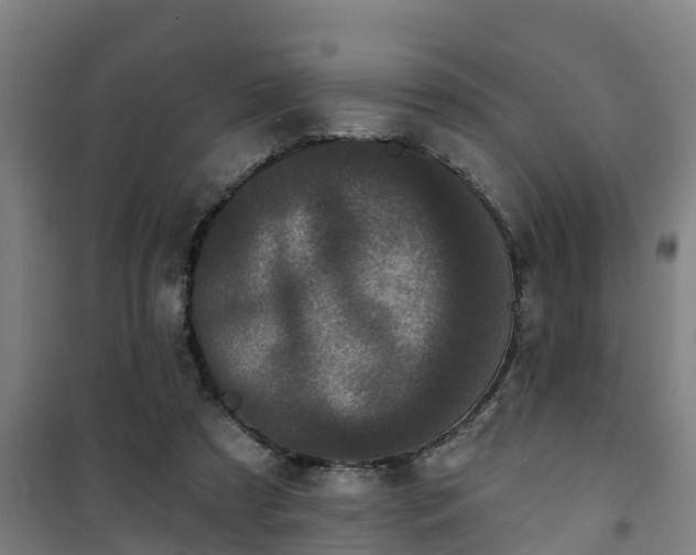 X0000101090305200807031732