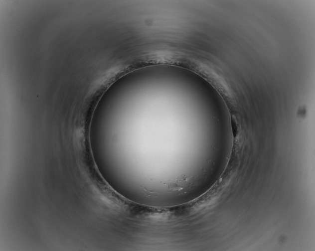 X0000101090306200807031732