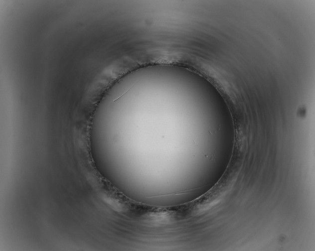 X0000101090307200807031732