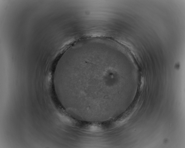 X0000101090308200807031732