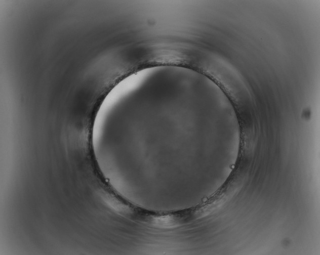 X0000101090309200807031732