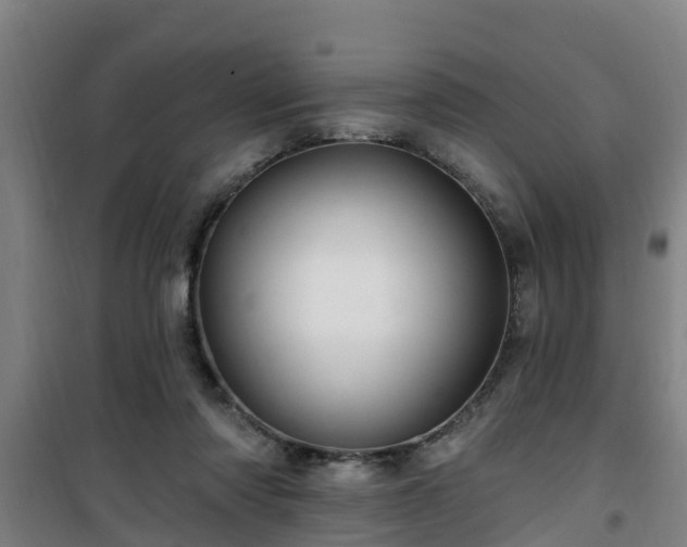 X0000101090310200807031732