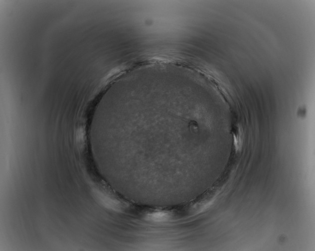 X0000101090312200807031732