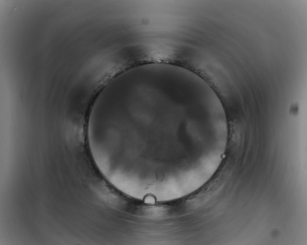 X0000101090313200807031732