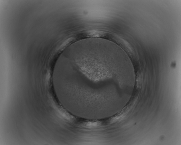 X0000101090314200807031732