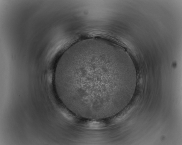 X0000101090315200807031732