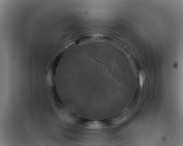 X0000101090316200807031732