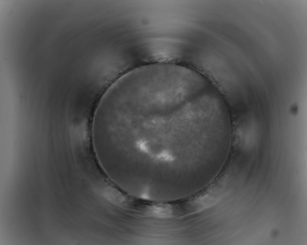 X0000101090317200807031732