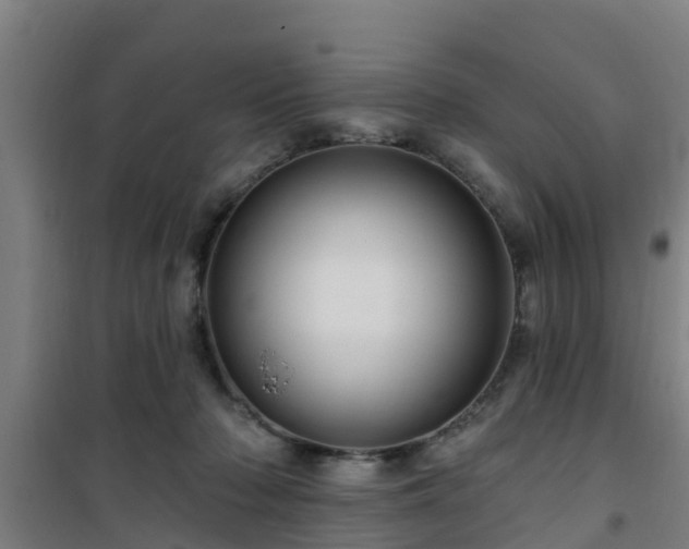 X0000101090318200807031732