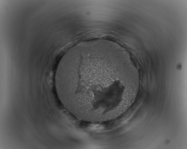 X0000101090319200807031732