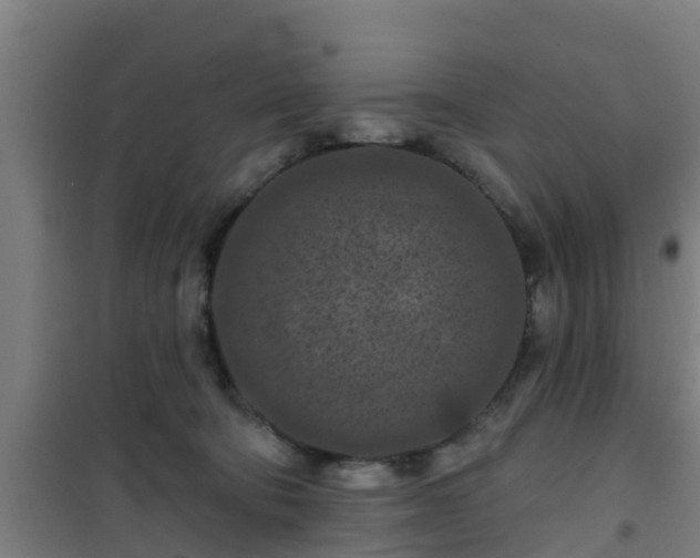 X0000101090322200807031732