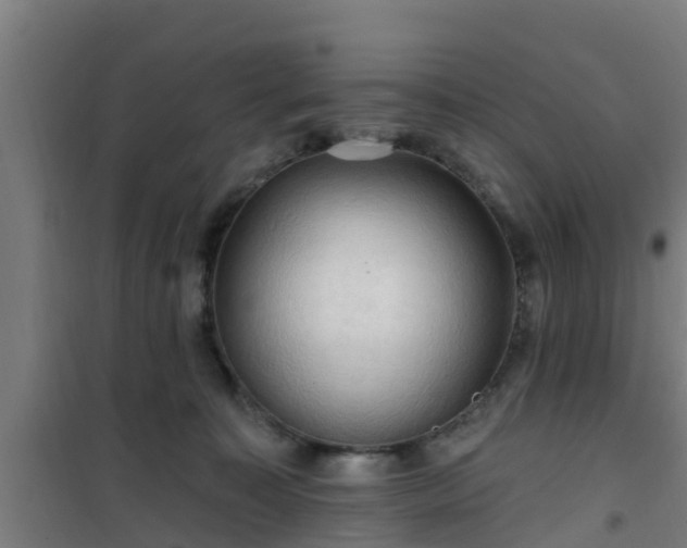 X0000101090323200807031732