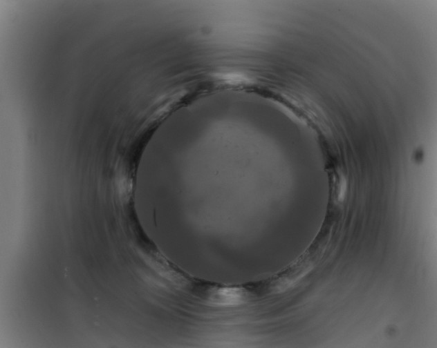 X0000101090324200807031732