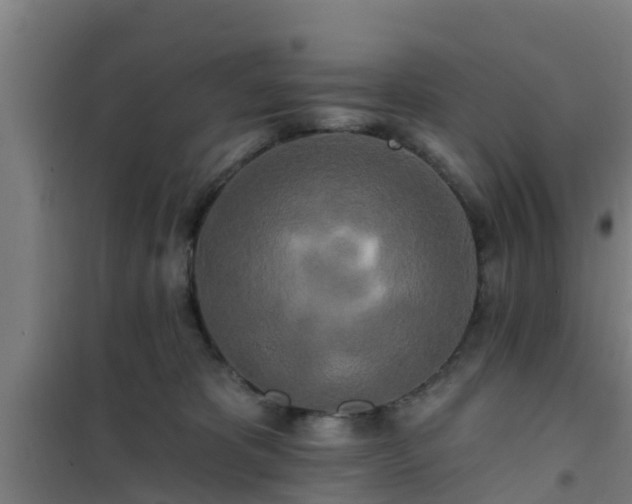 X0000101090325200807031732