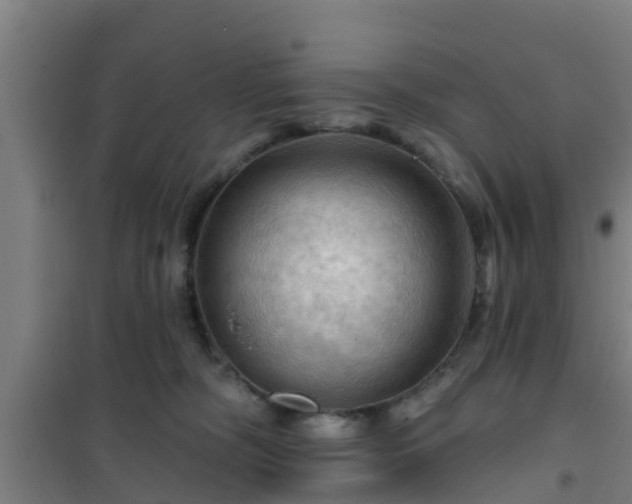 X0000101090326200807031732