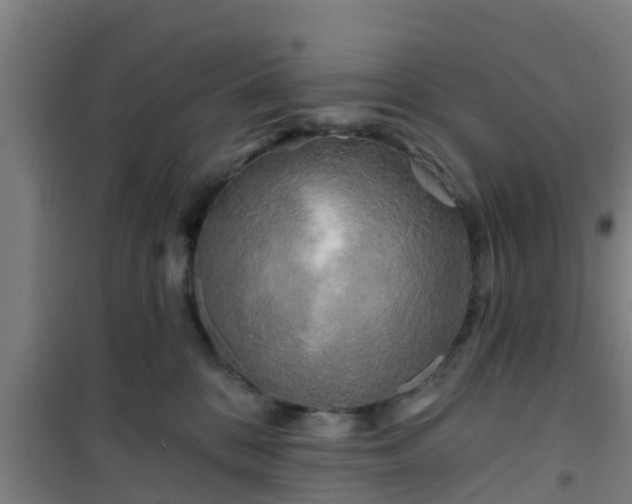 X0000101090328200807031732