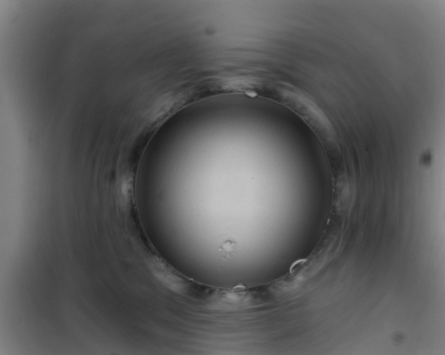 X0000101090329200807031732