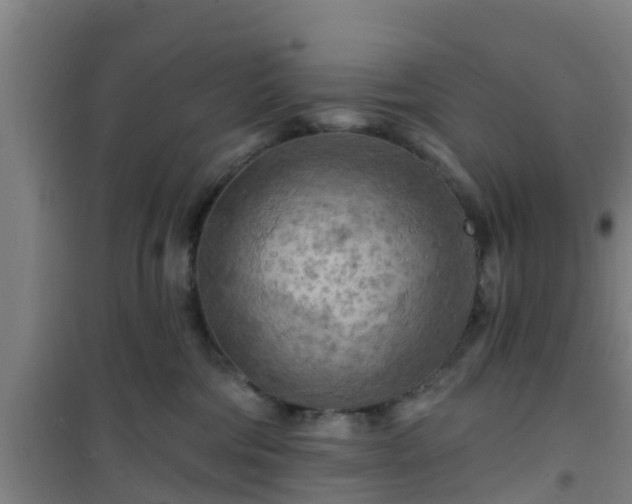 X0000101090330200807031732