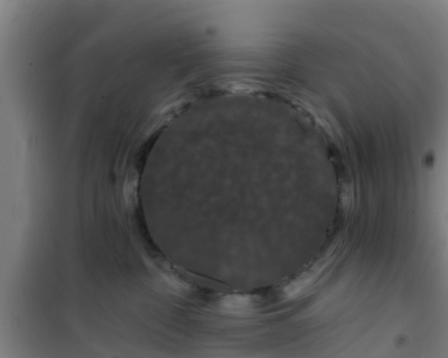 X0000101090332200807031732