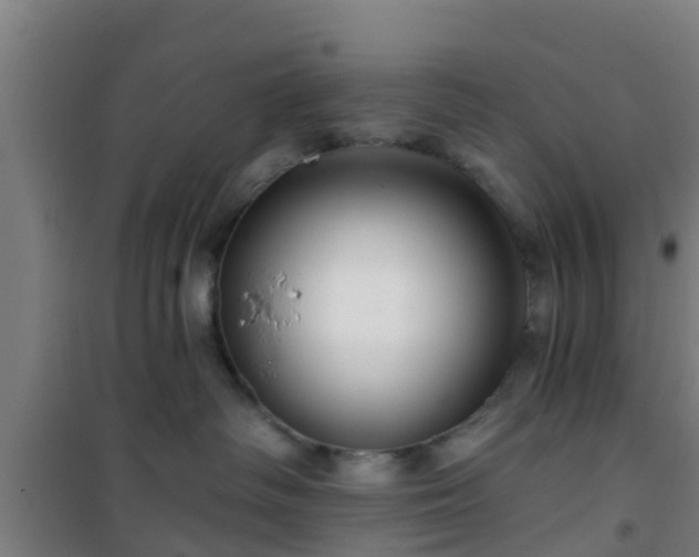 X0000101090334200807031732