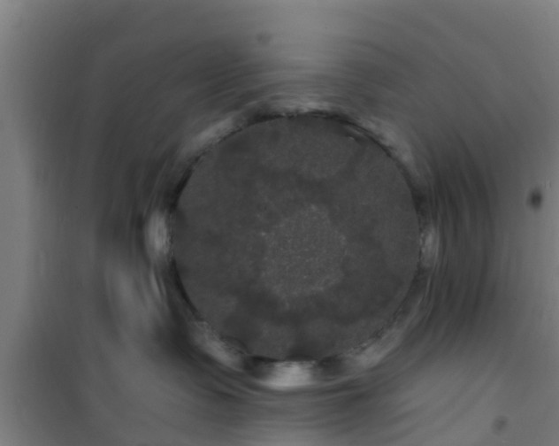 X0000101090335200807031732