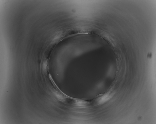 X0000101090336200807031732