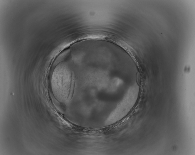 X0000101090337200807031731