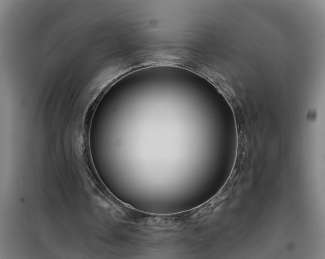 X0000101090338200807031731