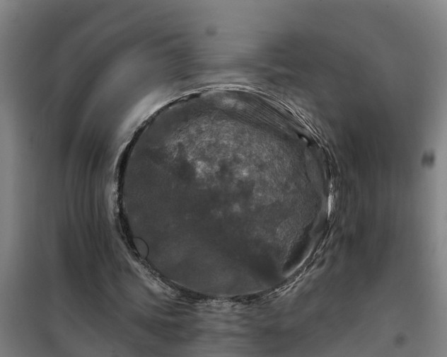 X0000101090339200807031731