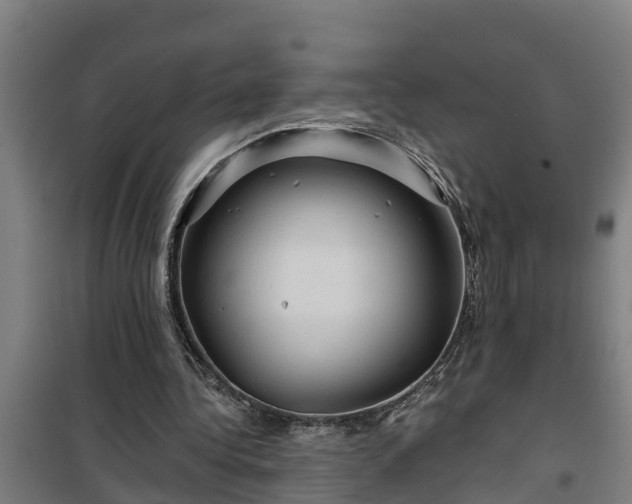 X0000101090340200807031731