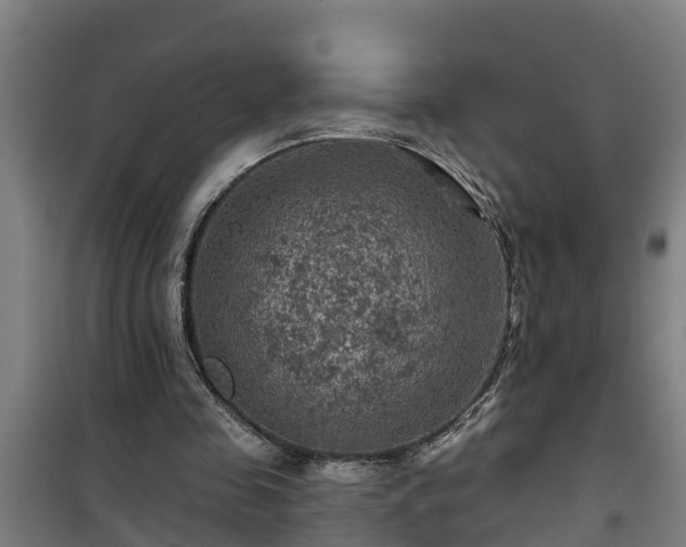 X0000101090341200807031731