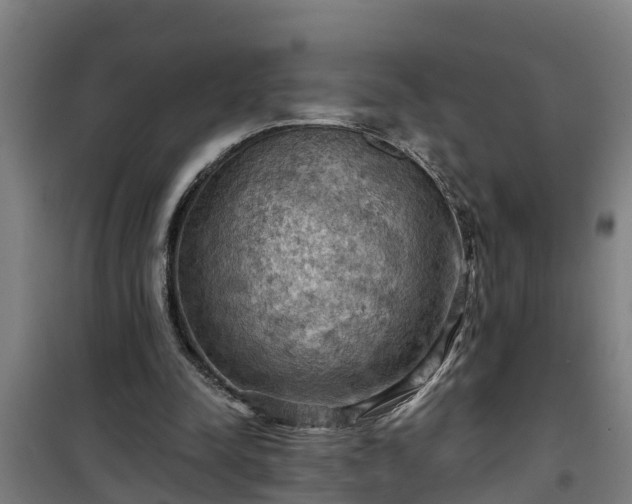 X0000101090342200807031731