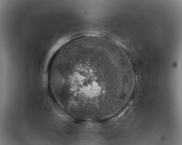 X0000101090343200807031731